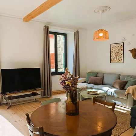 公寓 Chez Flader, Deux Pieces De 55m2 Centre Historique Langeac